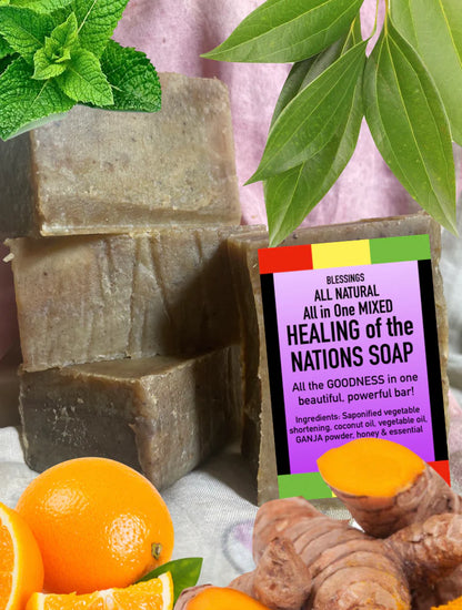 All in One Mixed Healing of the Nations Soap